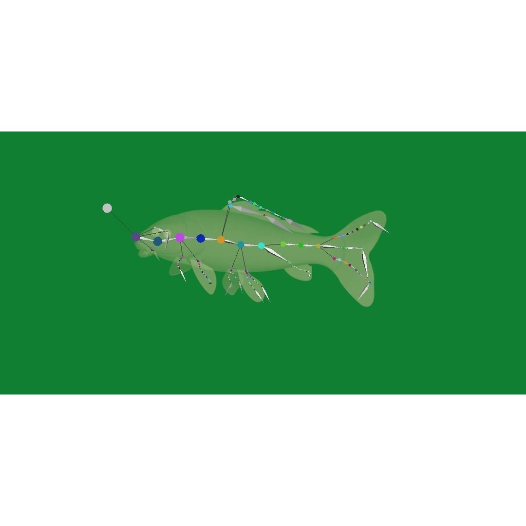 Nishikigoi Koi Fish 3D Model – Low Poly Game Asset, FBX, PBR Textures - View 35