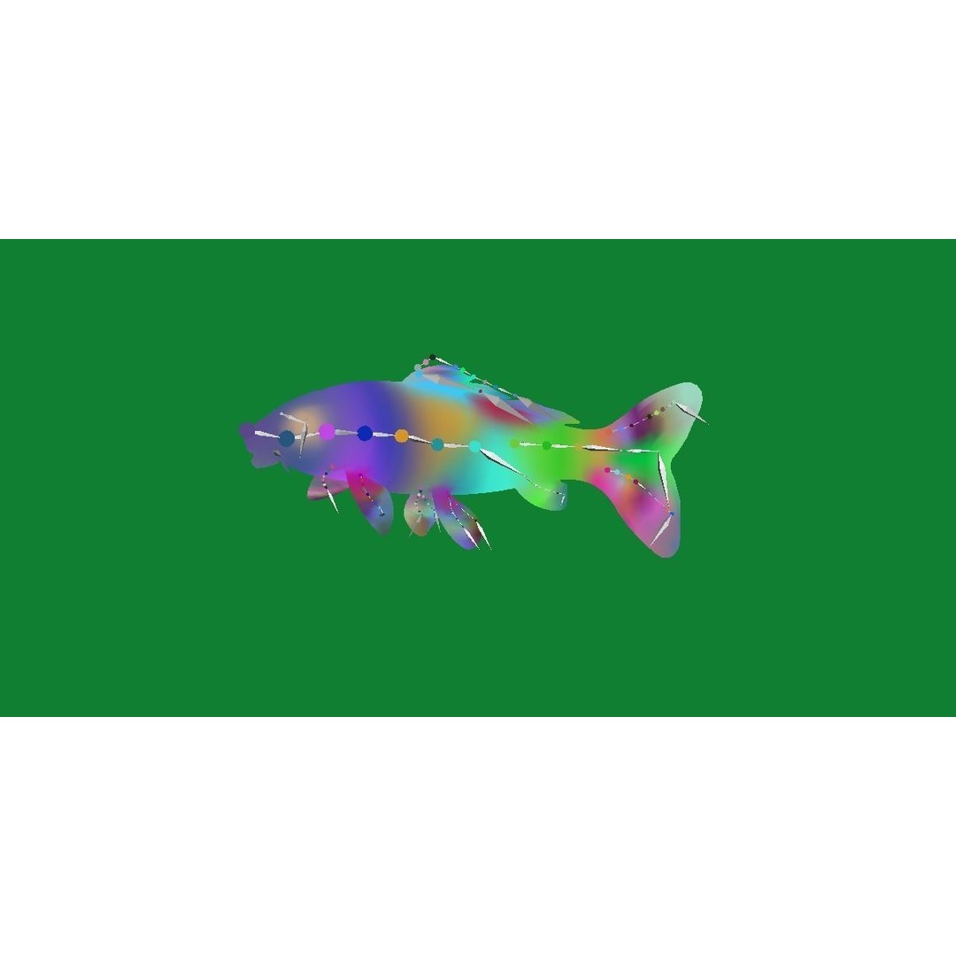 Nishikigoi Koi Fish 3D Model – Low Poly Game Asset, FBX, PBR Textures - View 36