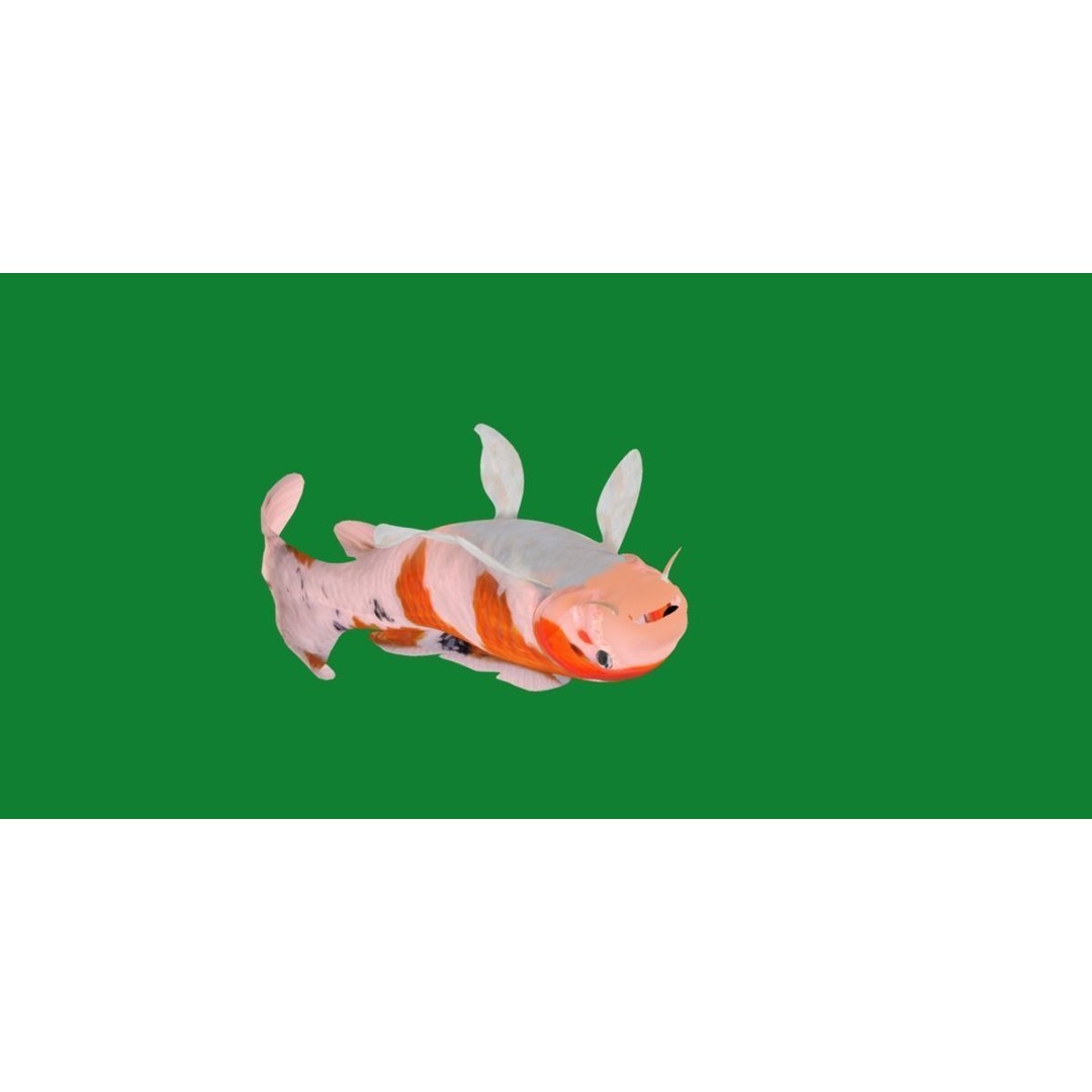 Nishikigoi Koi Fish 3D Model – Low Poly Game Asset, FBX, PBR Textures - View 38
