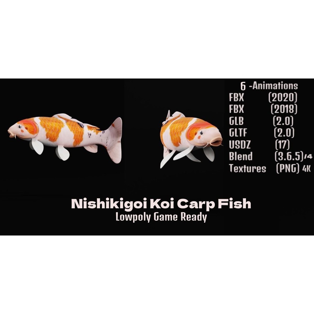 Nishikigoi Koi Fish 3D Model – Low Poly Game Asset, FBX, PBR Textures - View 8