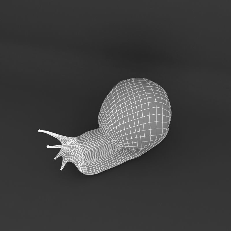 Realistic Snail 3D Model – High Poly PBR Texture Game Asset, FBX