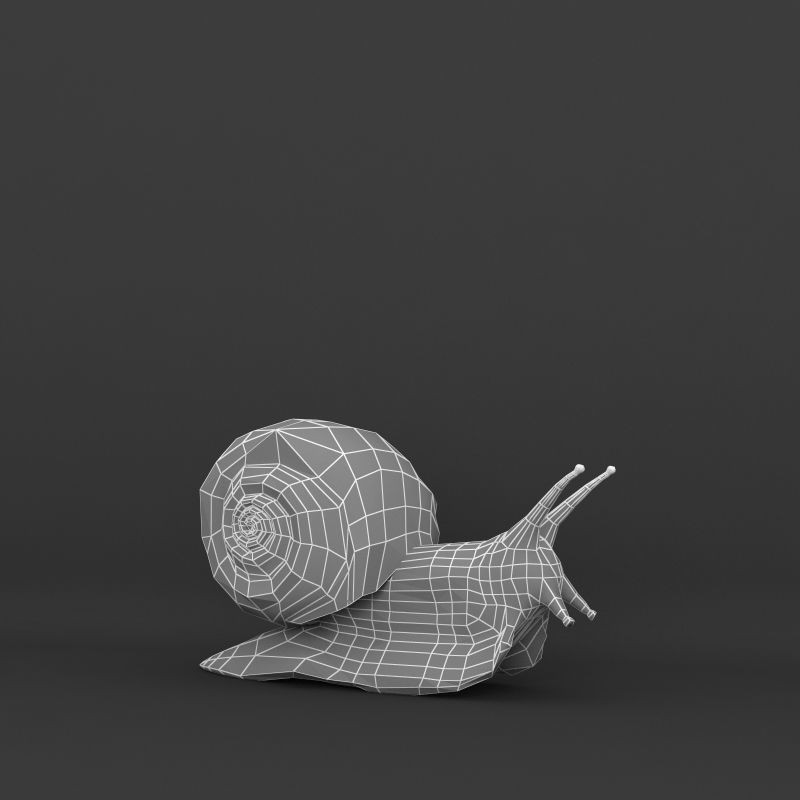 Realistic Snail 3D Model – High Poly PBR Texture Game Asset, FBX - View 10