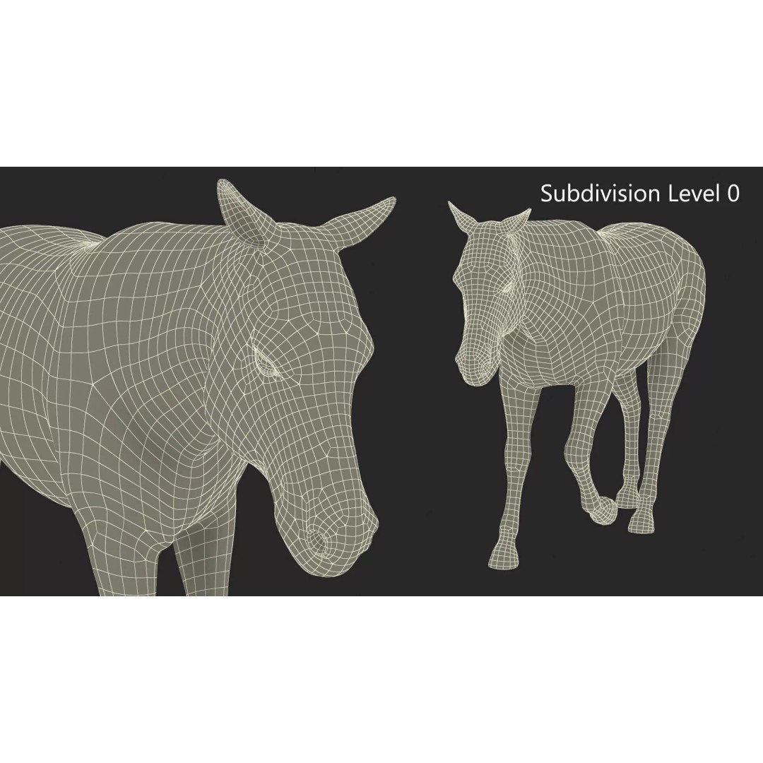 Zebra Adult Walking Fur 3D Model – Realistic Animal, PBR Textures, Maya - View 12