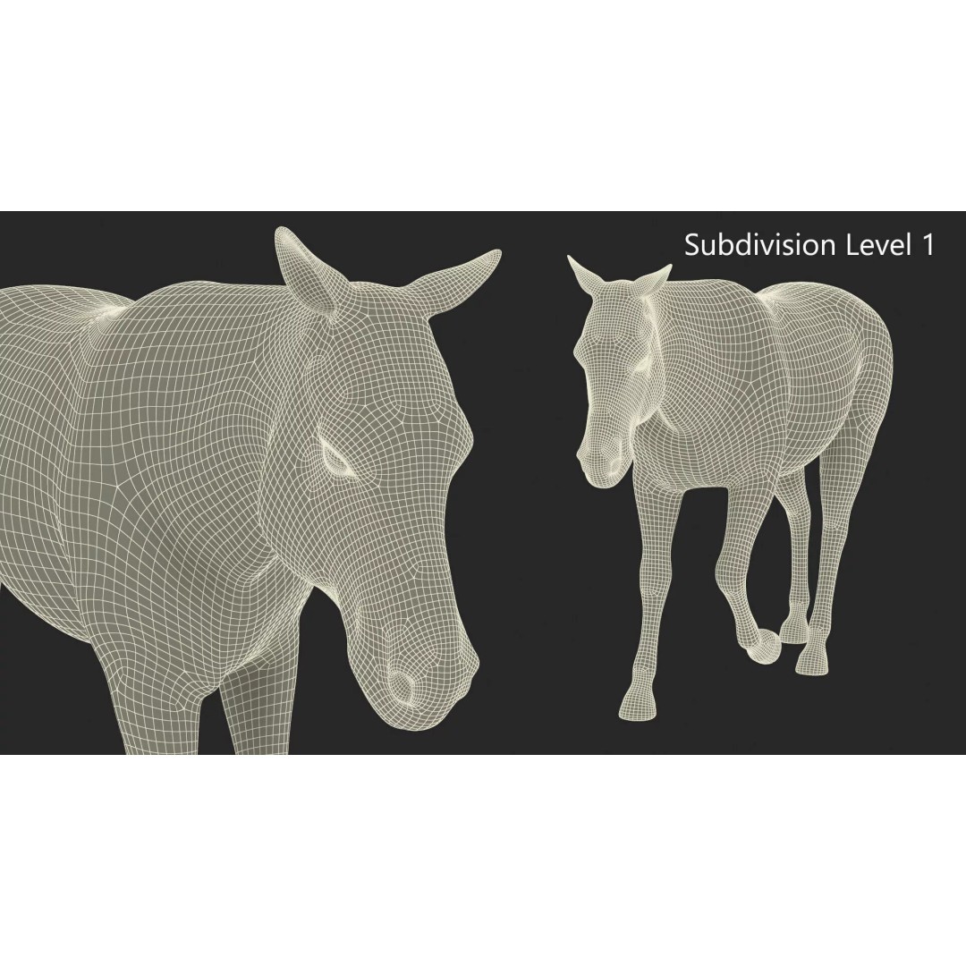 Zebra Adult Walking Fur 3D Model – Realistic Animal, PBR Textures, Maya - View 13