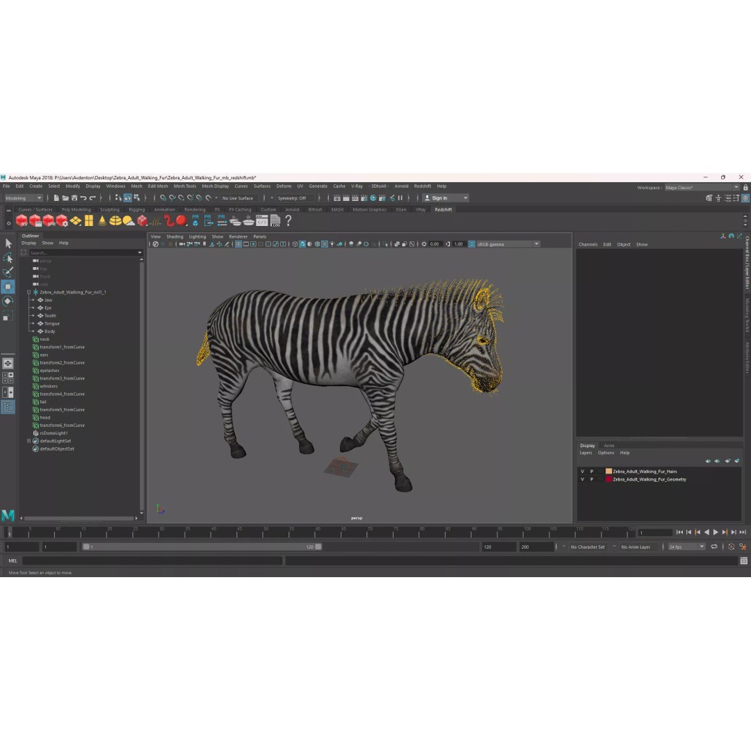 Zebra Adult Walking Fur 3D Model – Realistic Animal, PBR Textures, Maya - View 14