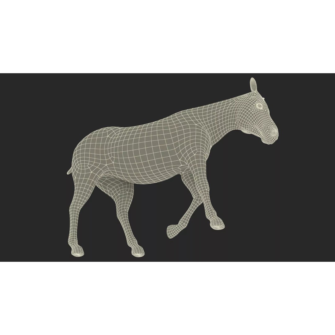 Zebra Adult Walking Fur 3D Model – Realistic Animal, PBR Textures, Maya - View 18