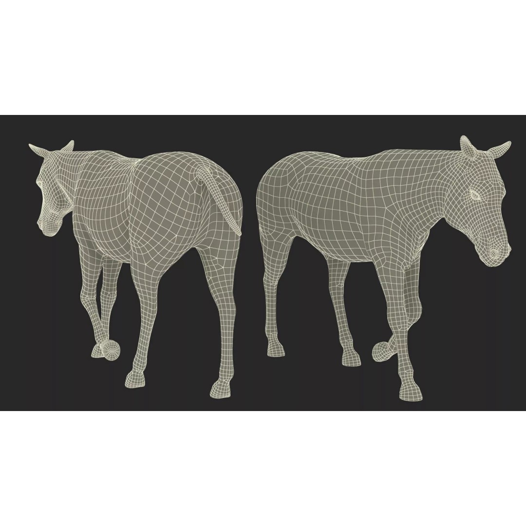 Zebra Adult Walking Fur 3D Model – Realistic Animal, PBR Textures, Maya - View 19