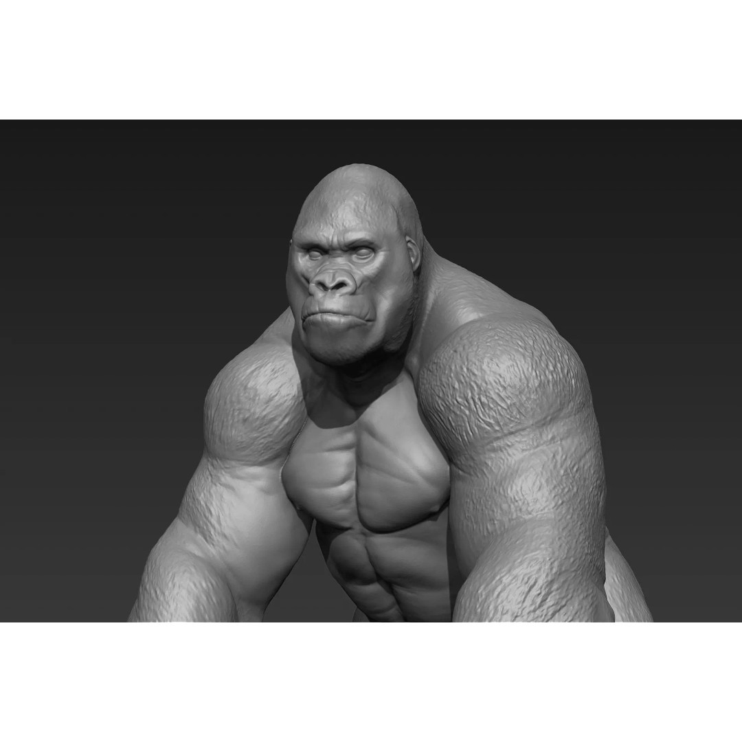 Gorilla 3D Model – High Poly Print Ready ZBrush Asset, OBJ & STL - View 2