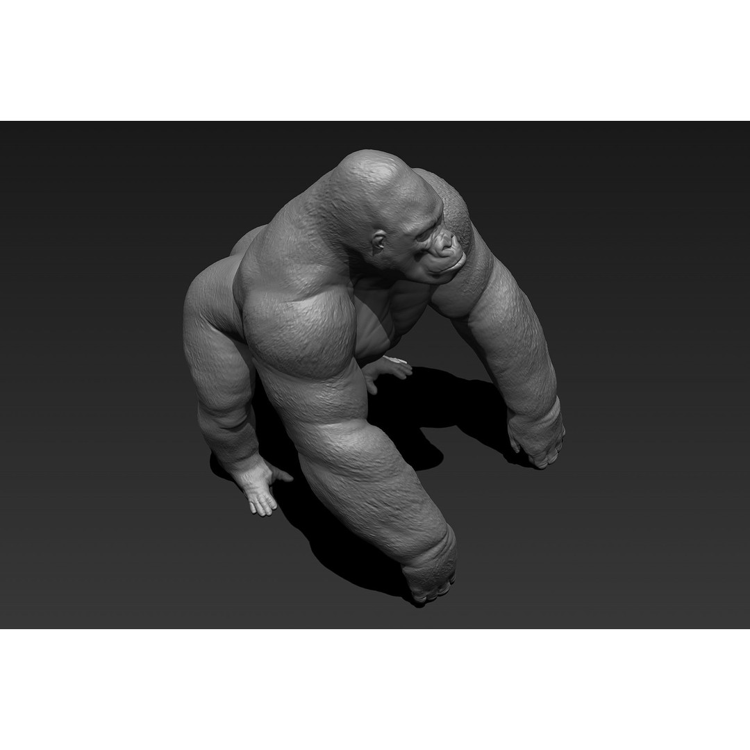 Gorilla 3D Model – High Poly Print Ready ZBrush Asset, OBJ & STL - View 7
