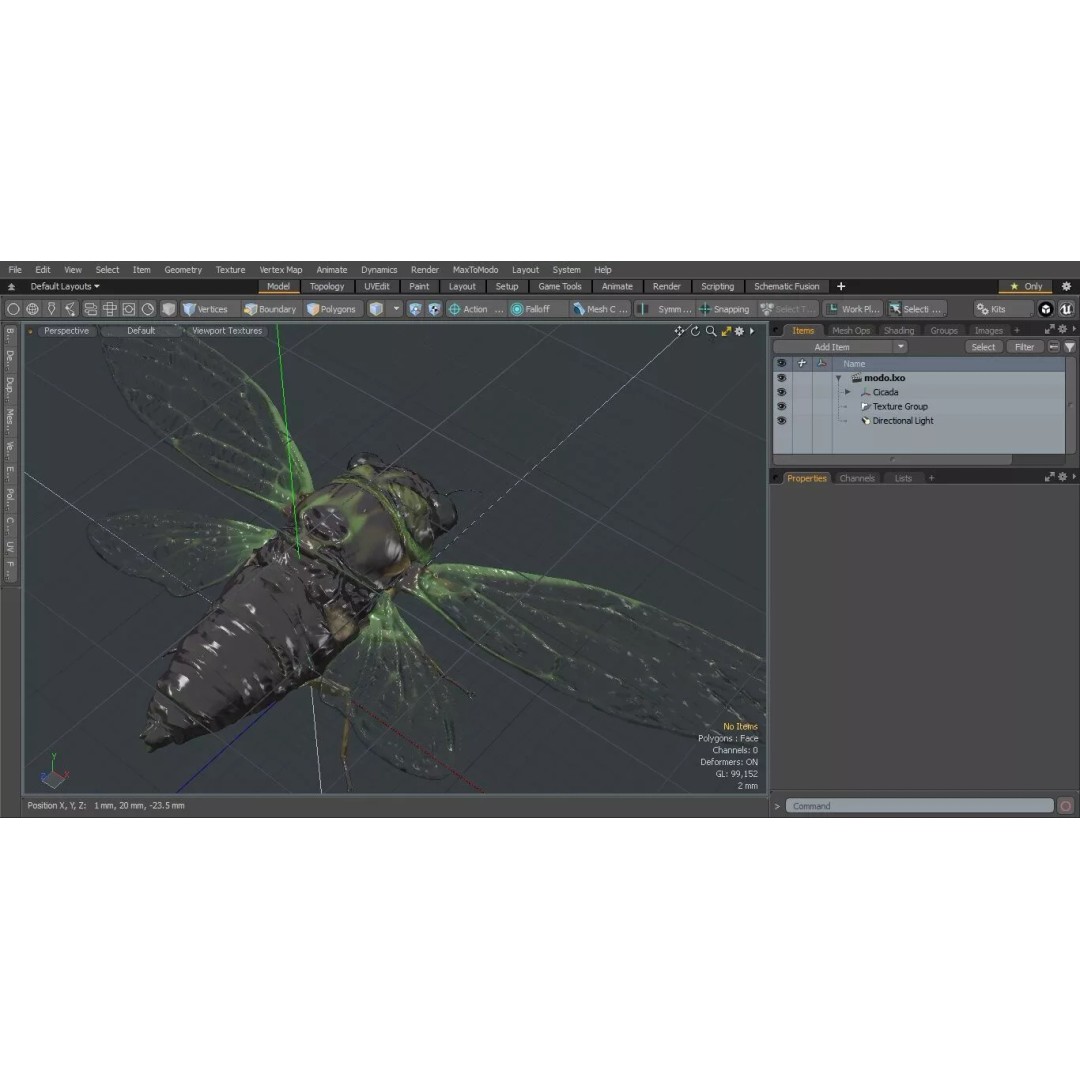 Cicada 3D Model – High Quality Polygonal Insect Asset, PBR Textures