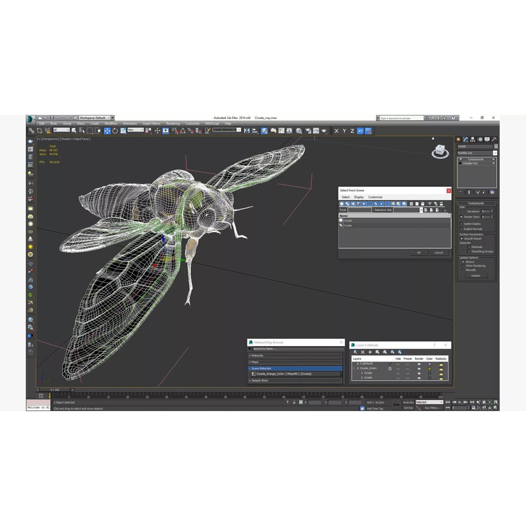 Cicada 3D Model – High Quality Polygonal Insect Asset, PBR Textures - View 25