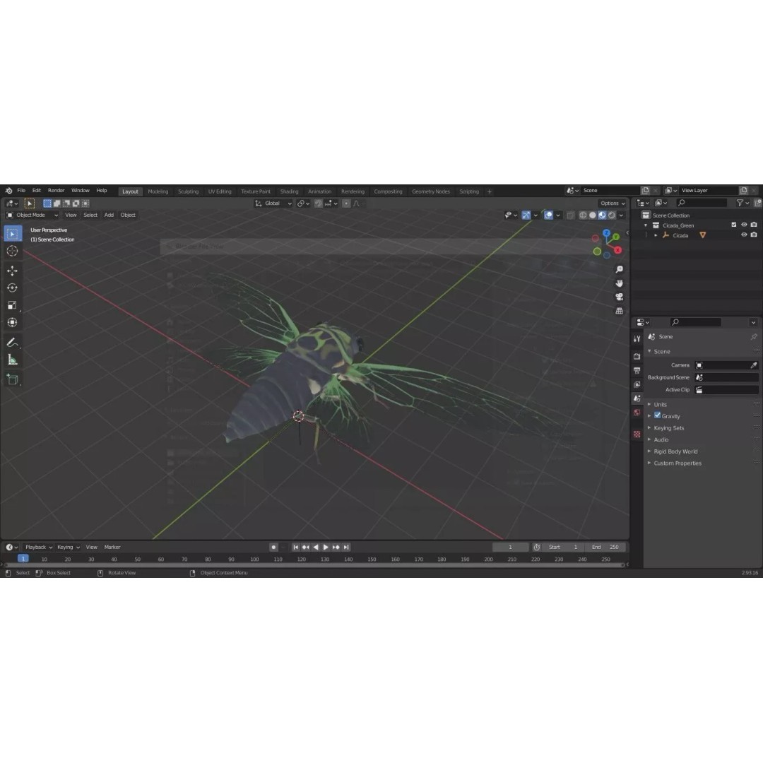 Cicada 3D Model – High Quality Polygonal Insect Asset, PBR Textures - View 31