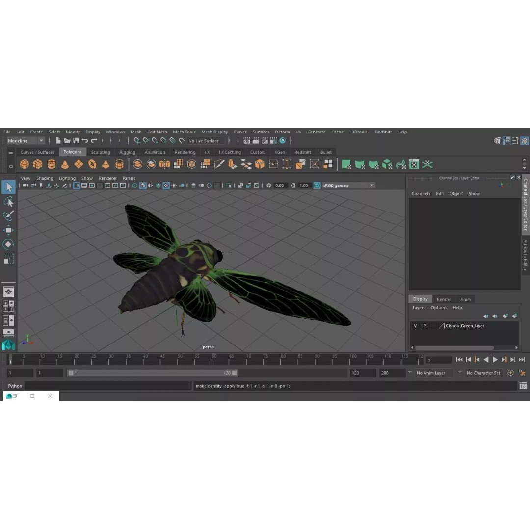 Cicada 3D Model – High Quality Polygonal Insect Asset, PBR Textures - View 33