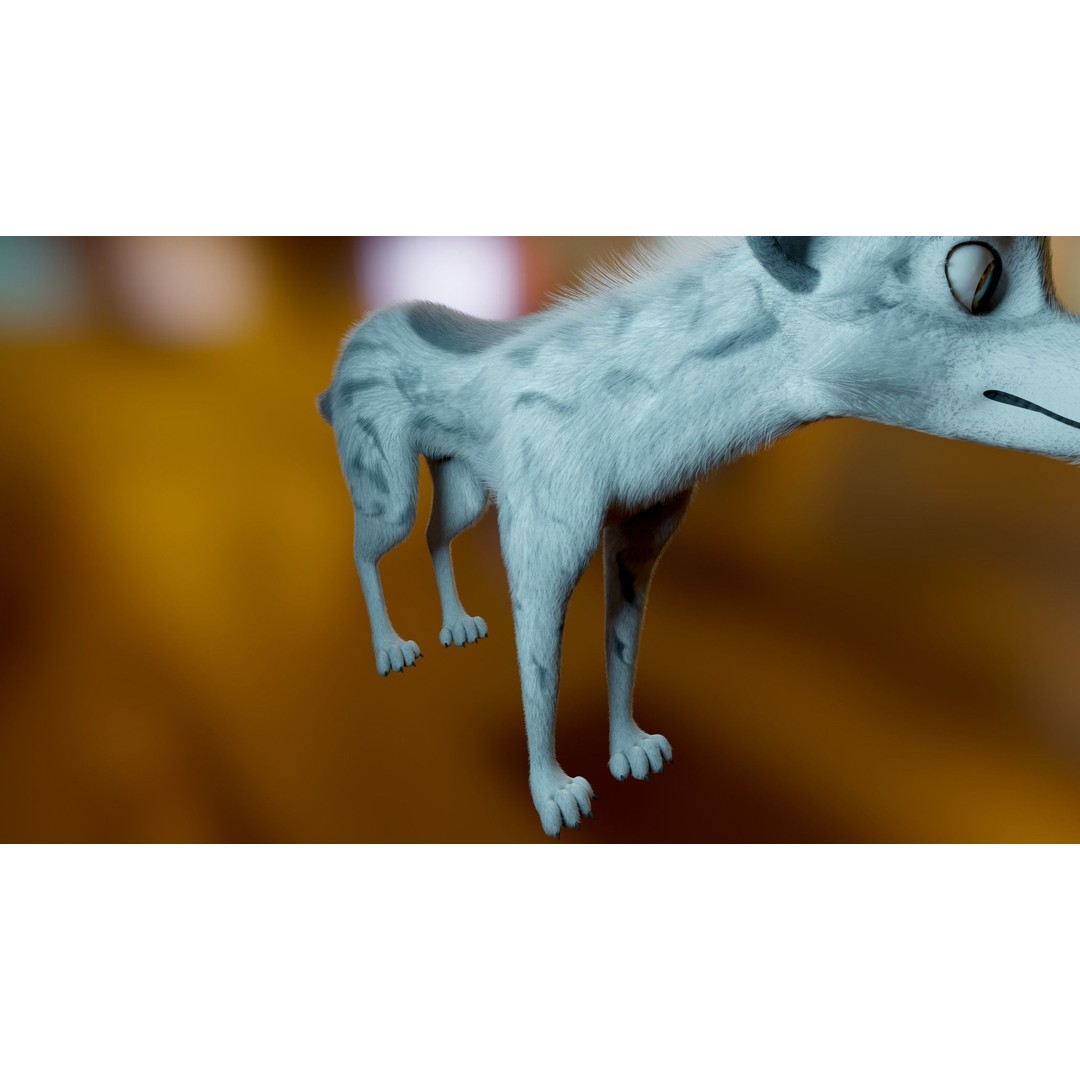 Kovu Wolf 3D Model – Rigged Character with Fur, Blender, FBX, OBJ - View 11