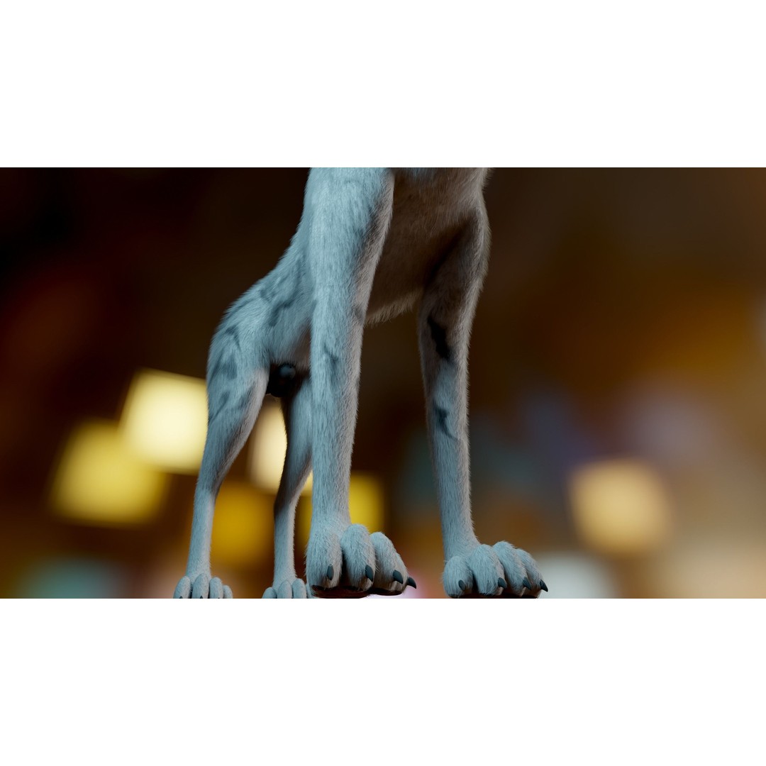 Kovu Wolf 3D Model – Rigged Character with Fur, Blender, FBX, OBJ - View 12