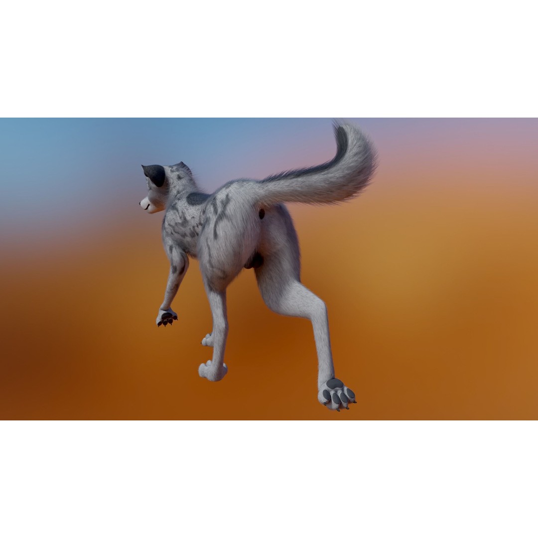 Kovu Wolf 3D Model – Rigged Character with Fur, Blender, FBX, OBJ - View 18