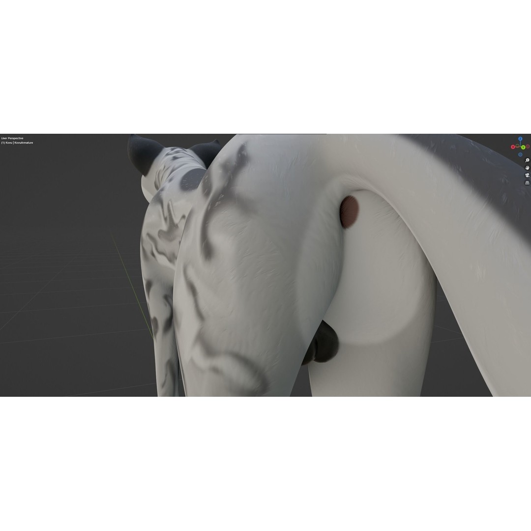 Kovu Wolf 3D Model – Rigged Character with Fur, Blender, FBX, OBJ - View 43