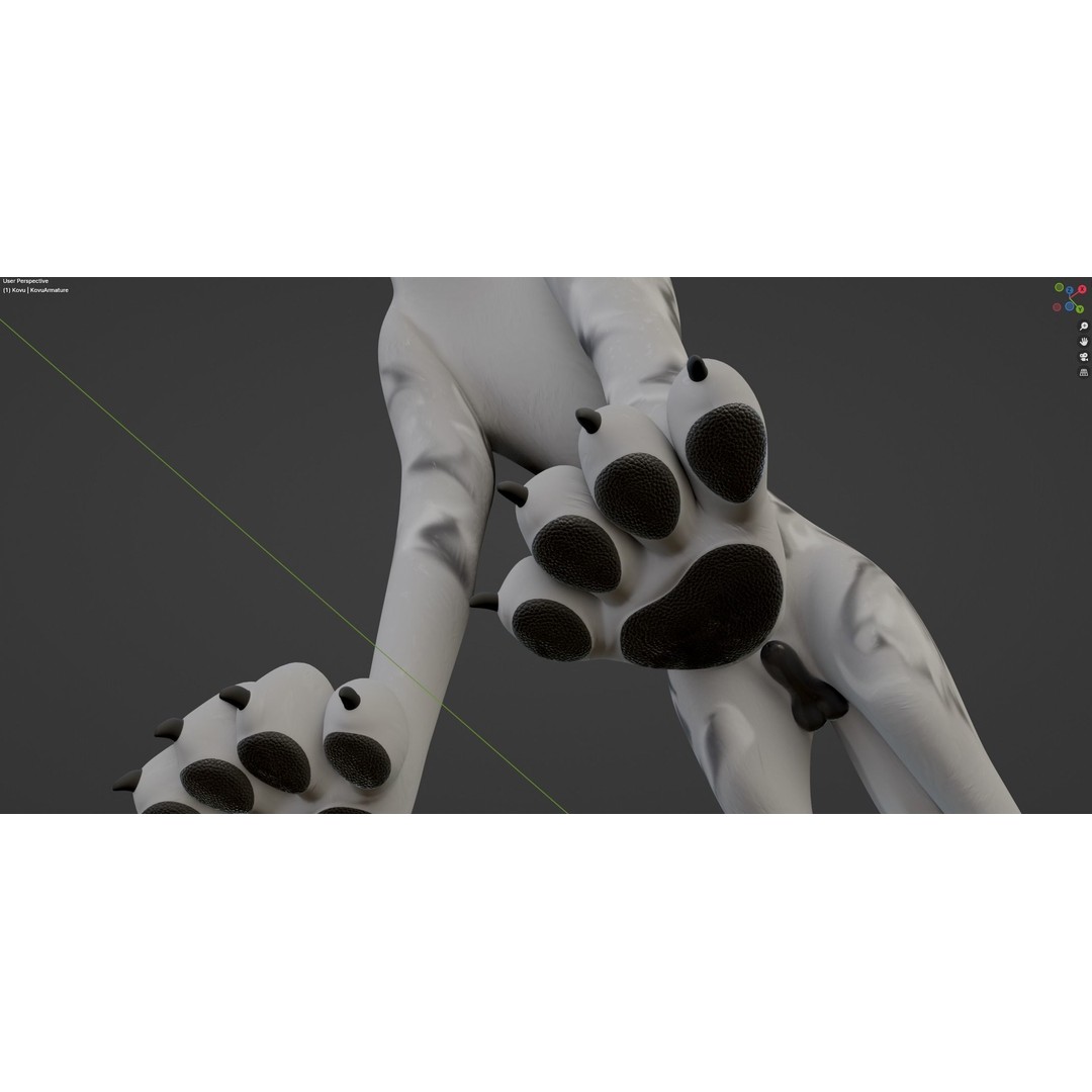 Kovu Wolf 3D Model – Rigged Character with Fur, Blender, FBX, OBJ - View 47