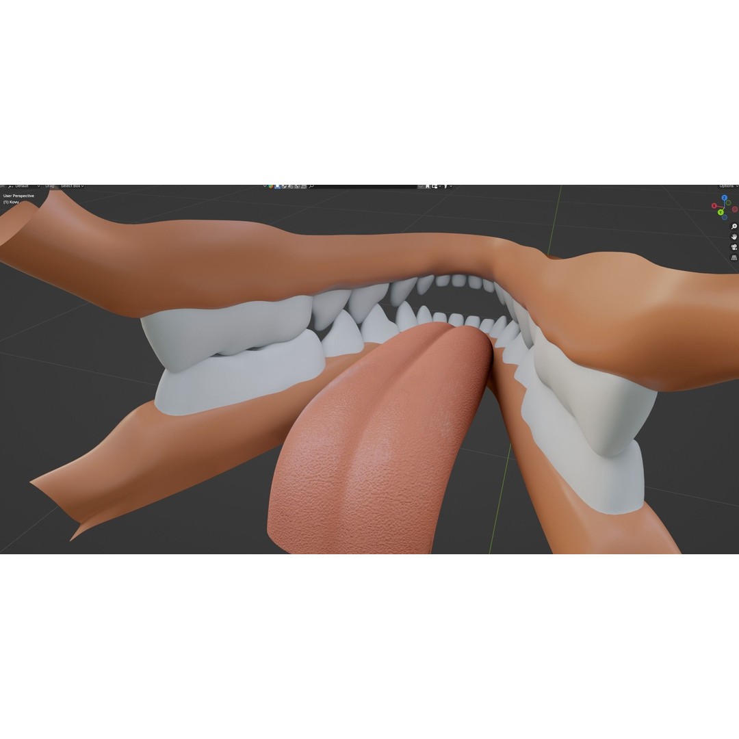 Kovu Wolf 3D Model – Rigged Character with Fur, Blender, FBX, OBJ - View 58