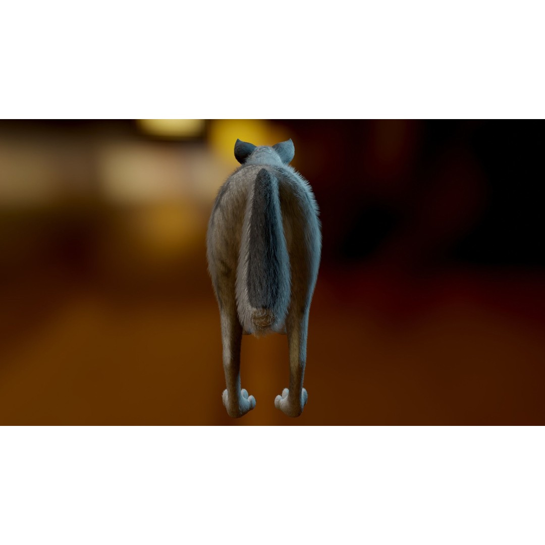 Kovu Wolf 3D Model – Rigged Character with Fur, Blender, FBX, OBJ - View 8