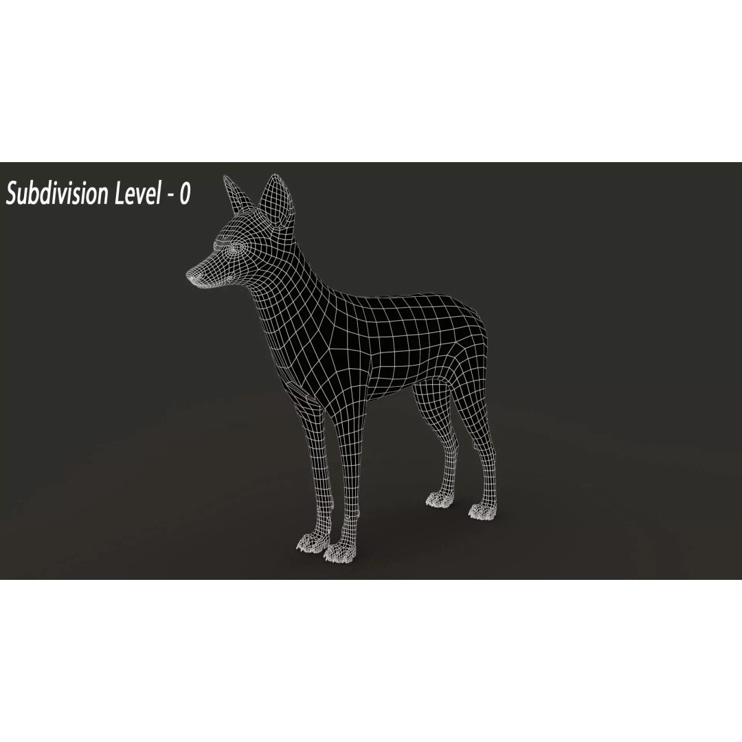 Black Backed Jackal 3D Model – Animated Rigged Character for Maya - View 17