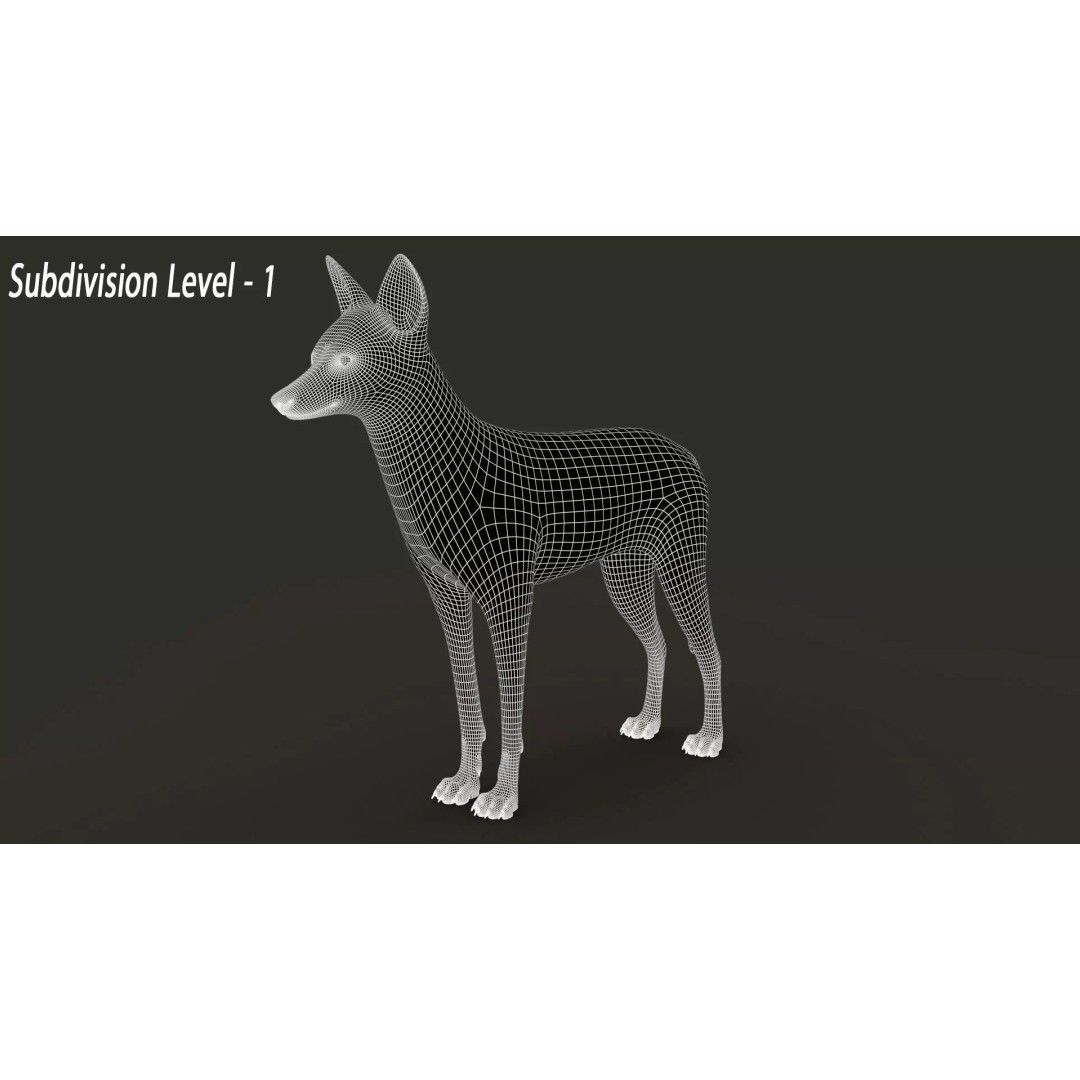 Black Backed Jackal 3D Model – Animated Rigged Character for Maya - View 18