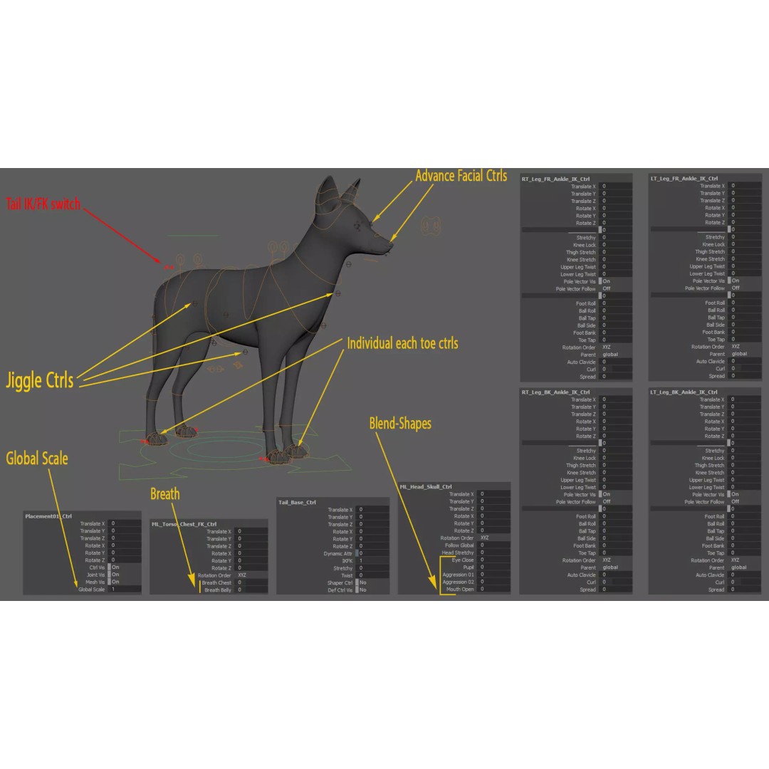 Black Backed Jackal 3D Model – Animated Rigged Character for Maya - View 19