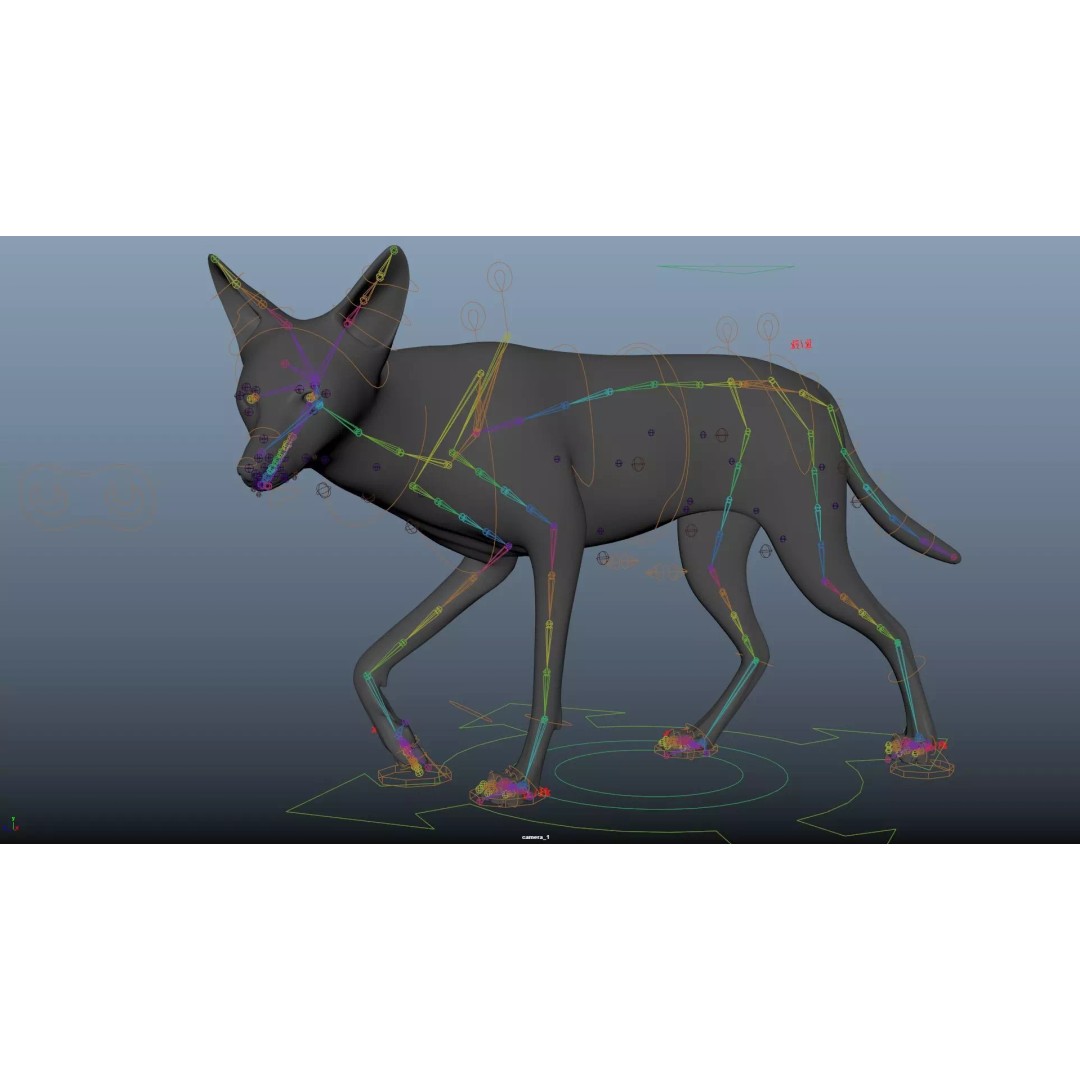 Black Backed Jackal 3D Model – Animated Rigged Character for Maya - View 22