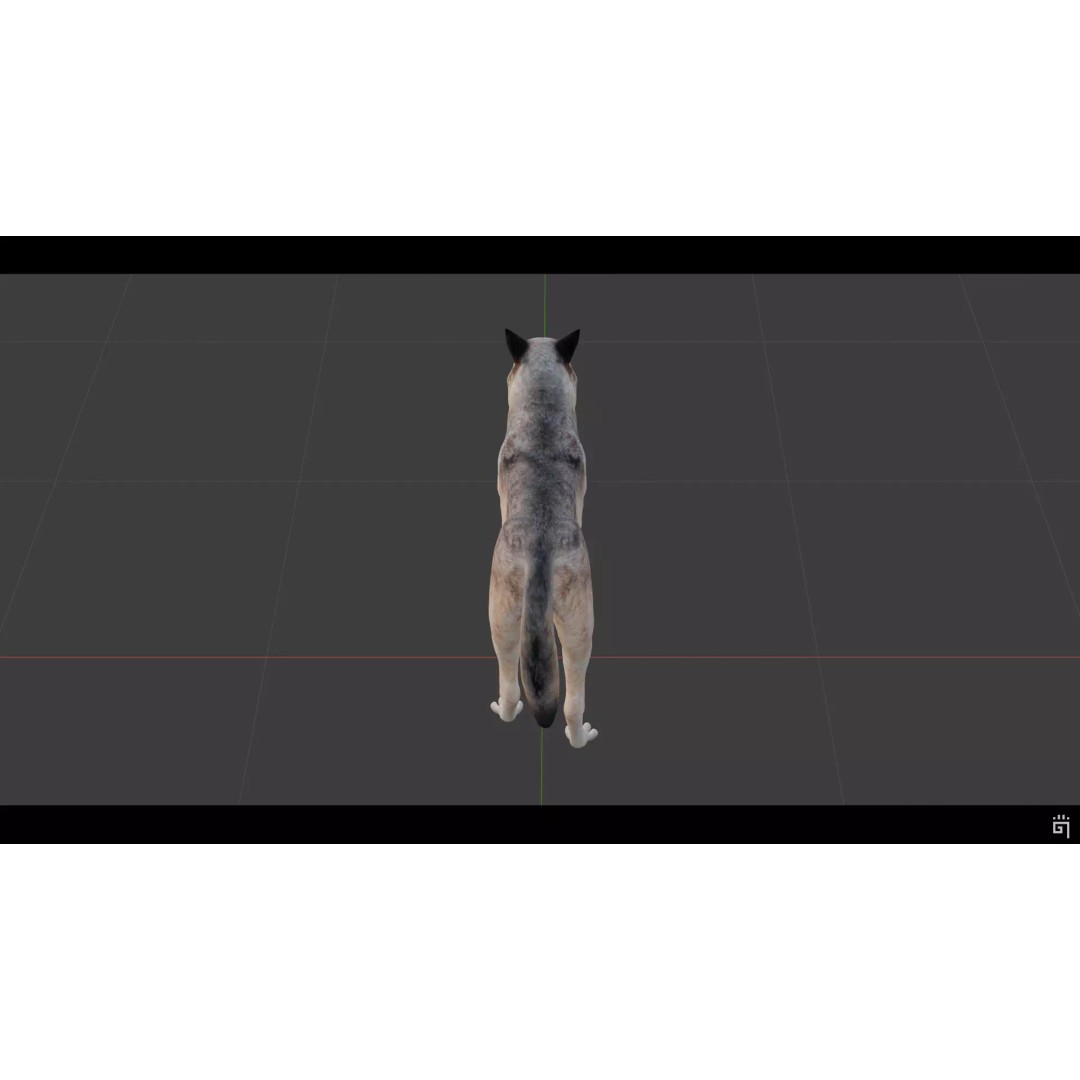 Classic Wolf 3D Model – Low Poly Game-Ready Animated Asset, FBX