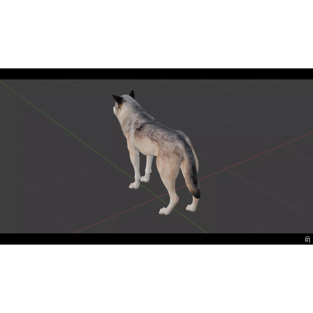 Classic Wolf 3D Model – Low Poly Game-Ready Animated Asset, FBX - View 12
