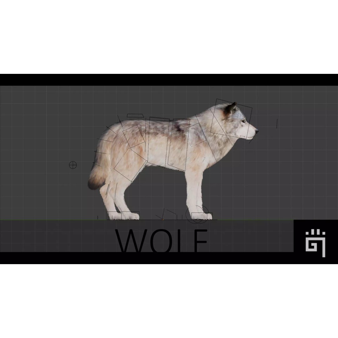 Classic Wolf 3D Model – Low Poly Game-Ready Animated Asset, FBX - View 2
