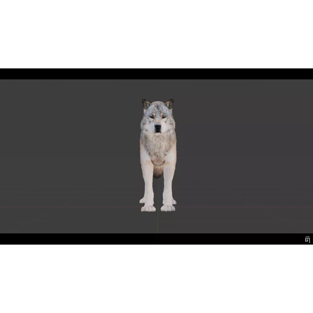 Classic Wolf 3D Model – Low Poly Game-Ready Animated Asset, FBX - View 3