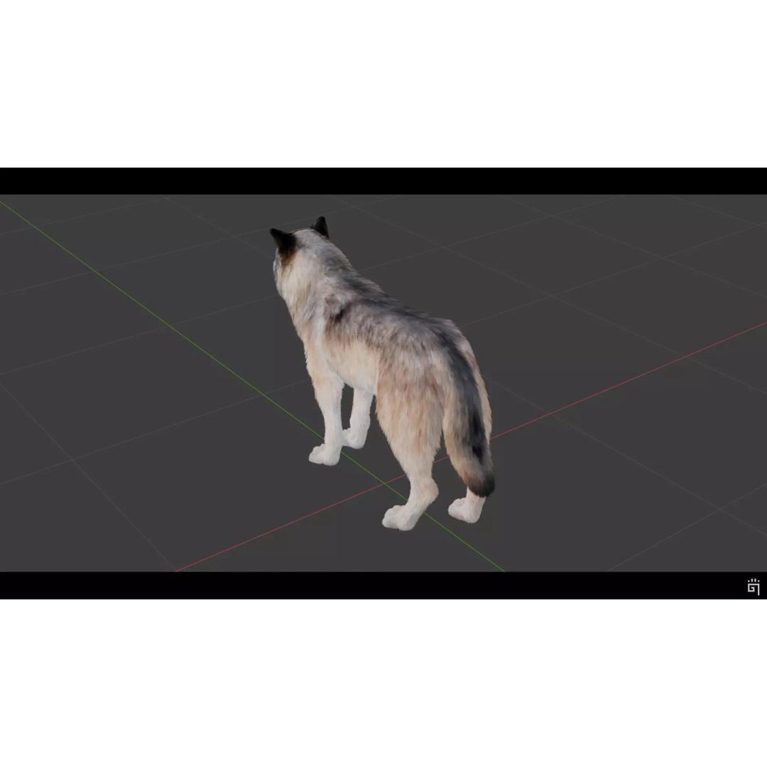 Classic Wolf 3D Model – Low Poly Game-Ready Animated Asset, FBX - View 6