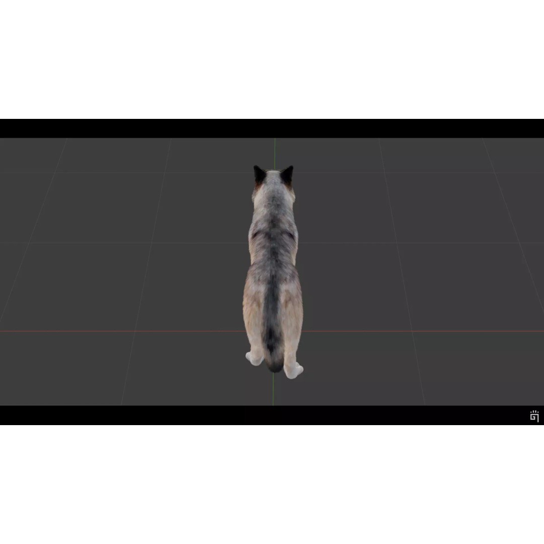 Classic Wolf 3D Model – Low Poly Game-Ready Animated Asset, FBX - View 7