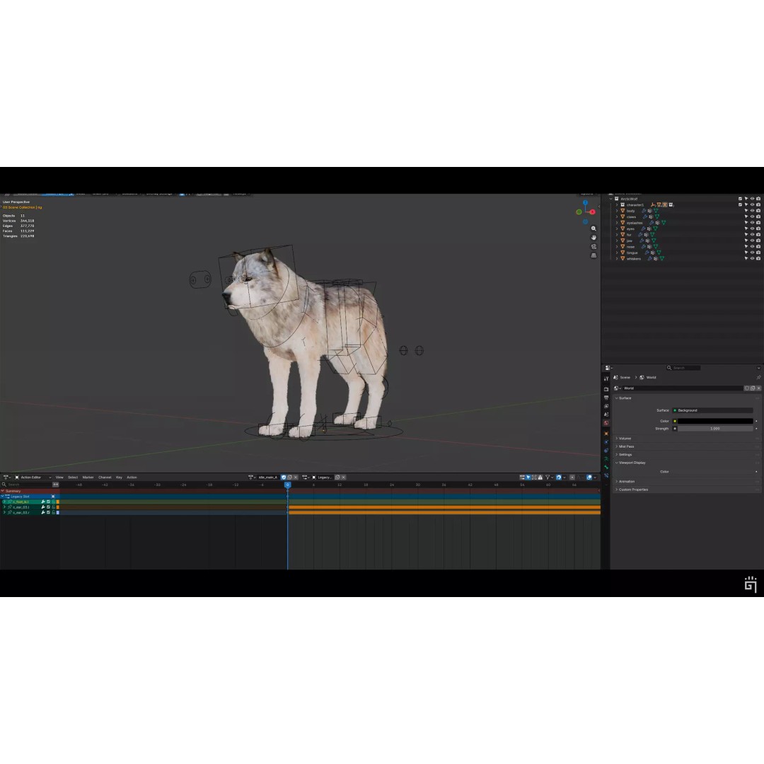 Classic Wolf 3D Model – Low Poly Game-Ready Animated Asset, FBX - View 8