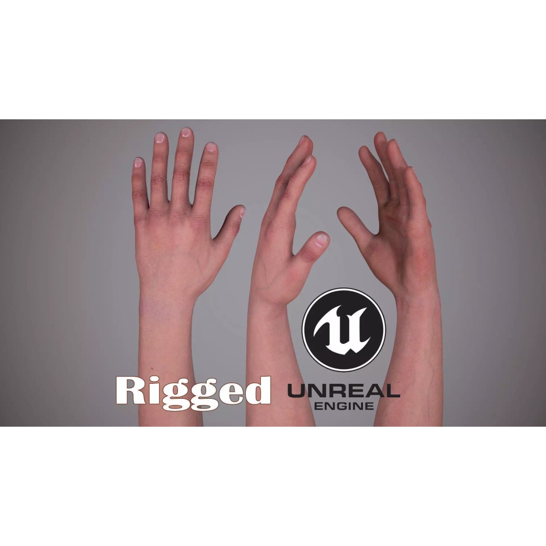 Realistic FPS Arms 3D Model – Low Poly Rigged Hands for Games, FBX - View 2