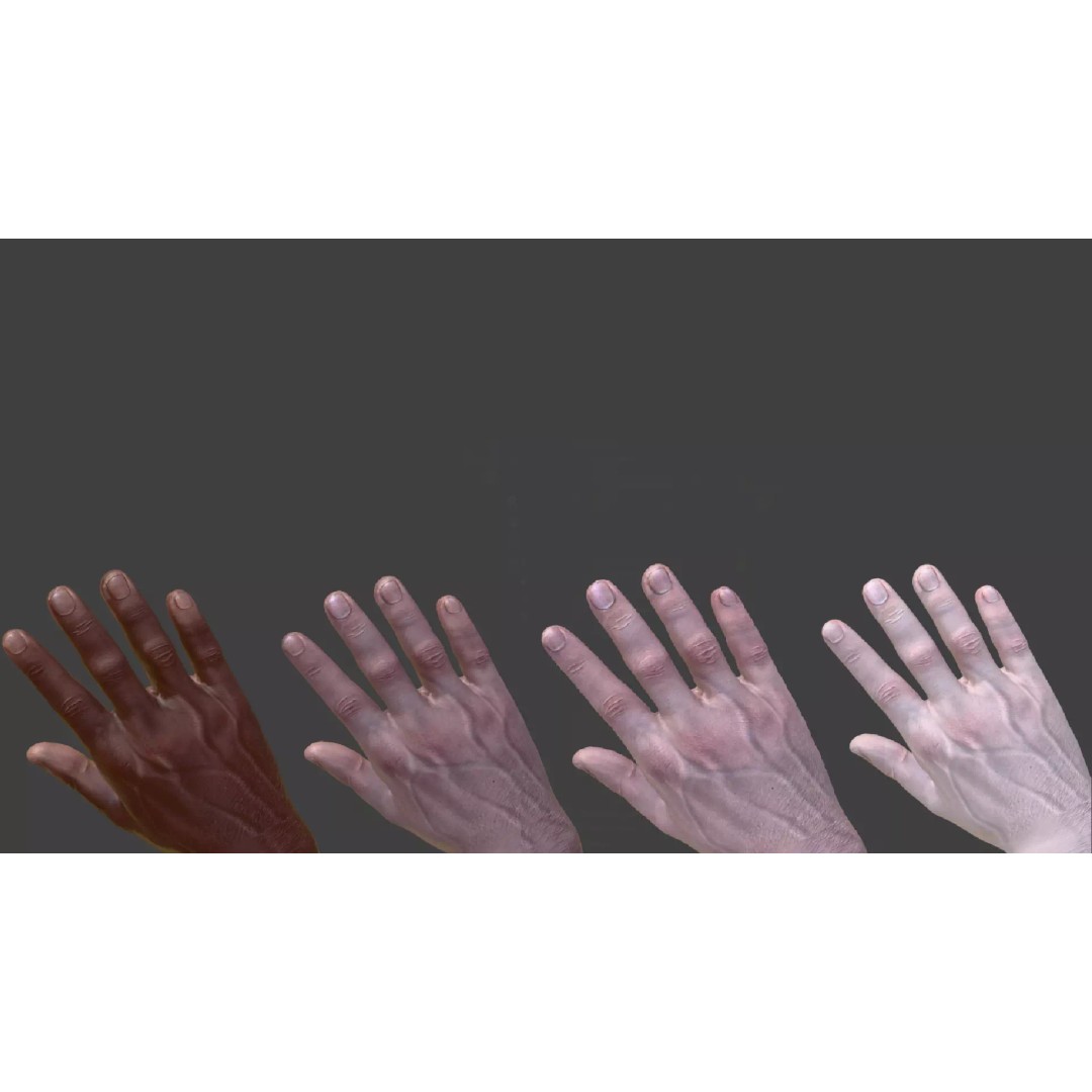 Customizable Arms Mega Pack 3D Model – Low Poly Rigged Game Asset, FBX - View 6