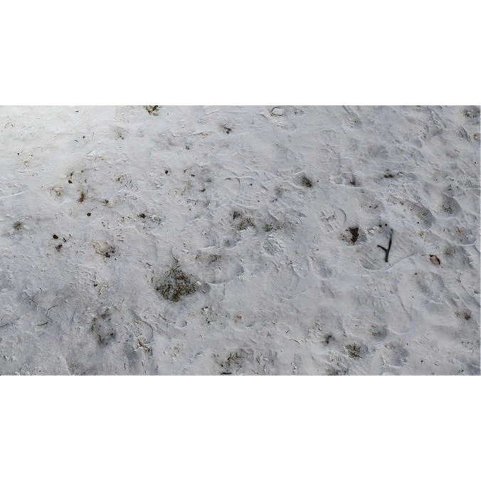 Floor PBR Texture Pack 3D Model – Realistic Textures for Games, FBX - View 17