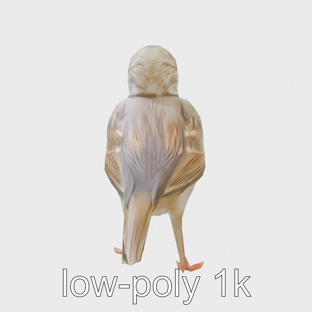 Rock Sparrow 3D Model – Low Poly PBR Bird Asset for Animation