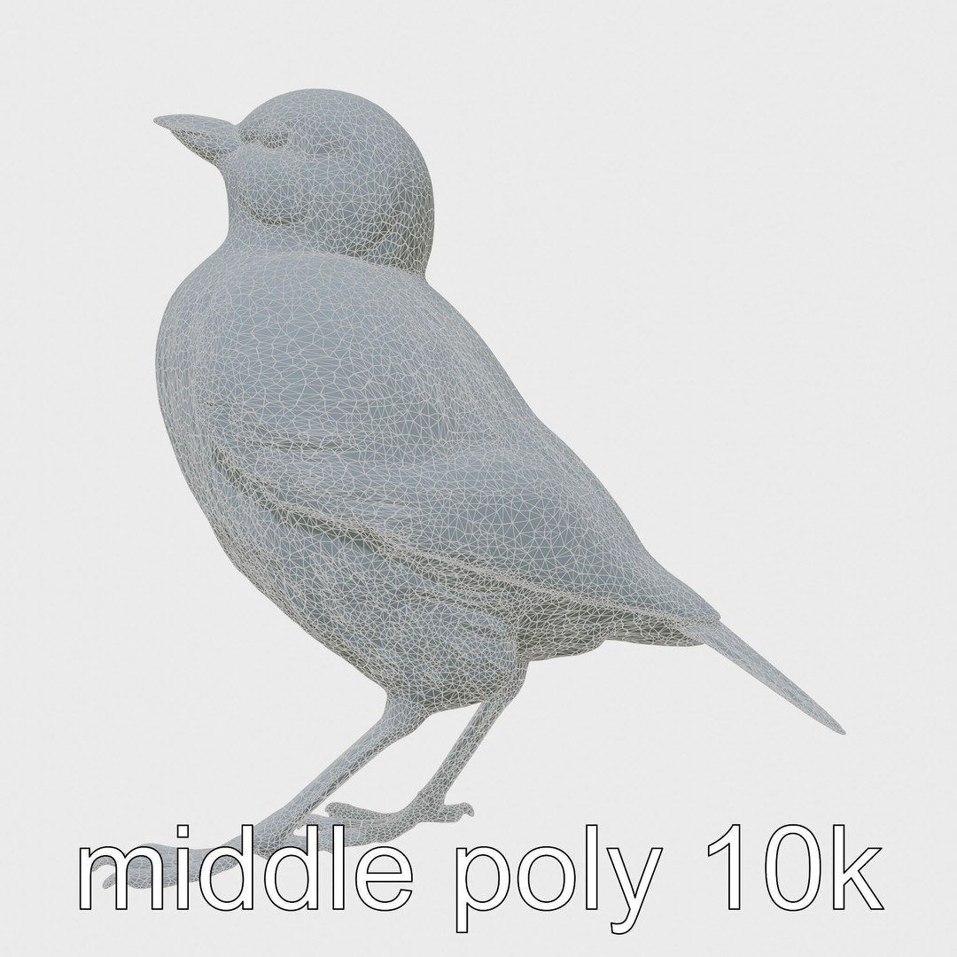 Rock Sparrow 3D Model – Low Poly PBR Bird Asset for Animation - View 10