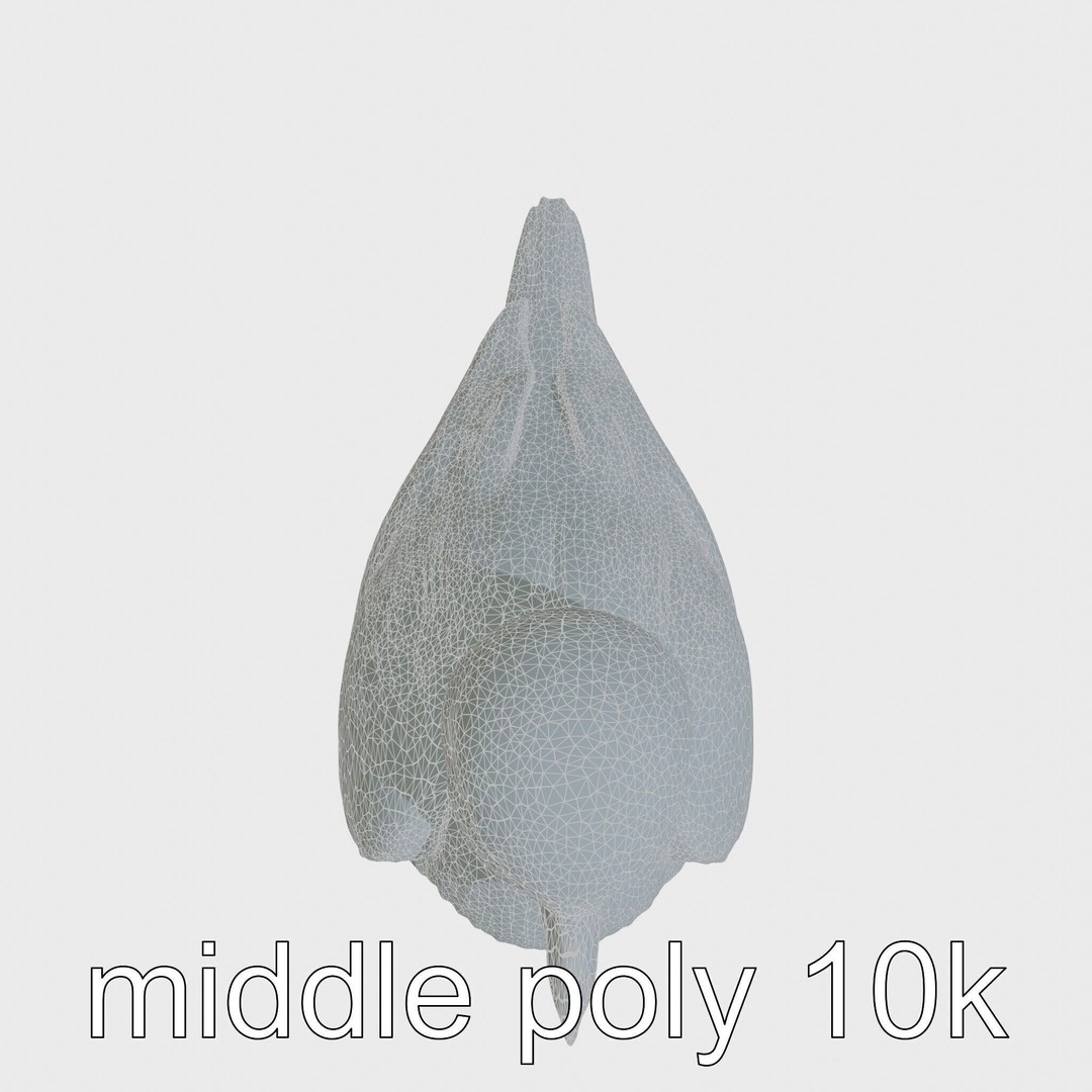 Rock Sparrow 3D Model – Low Poly PBR Bird Asset for Animation - View 14