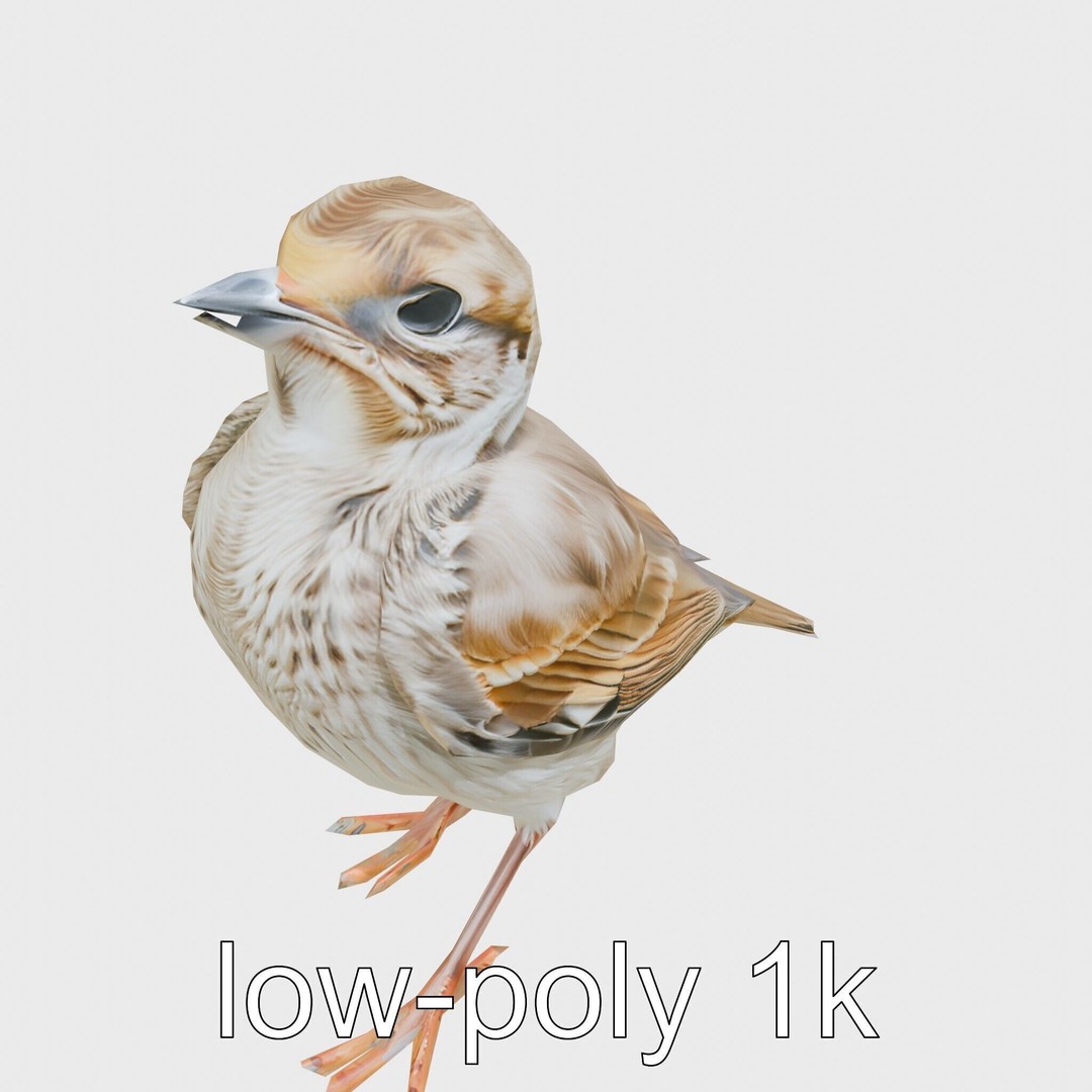 Rock Sparrow 3D Model – Low Poly PBR Bird Asset for Animation - View 18