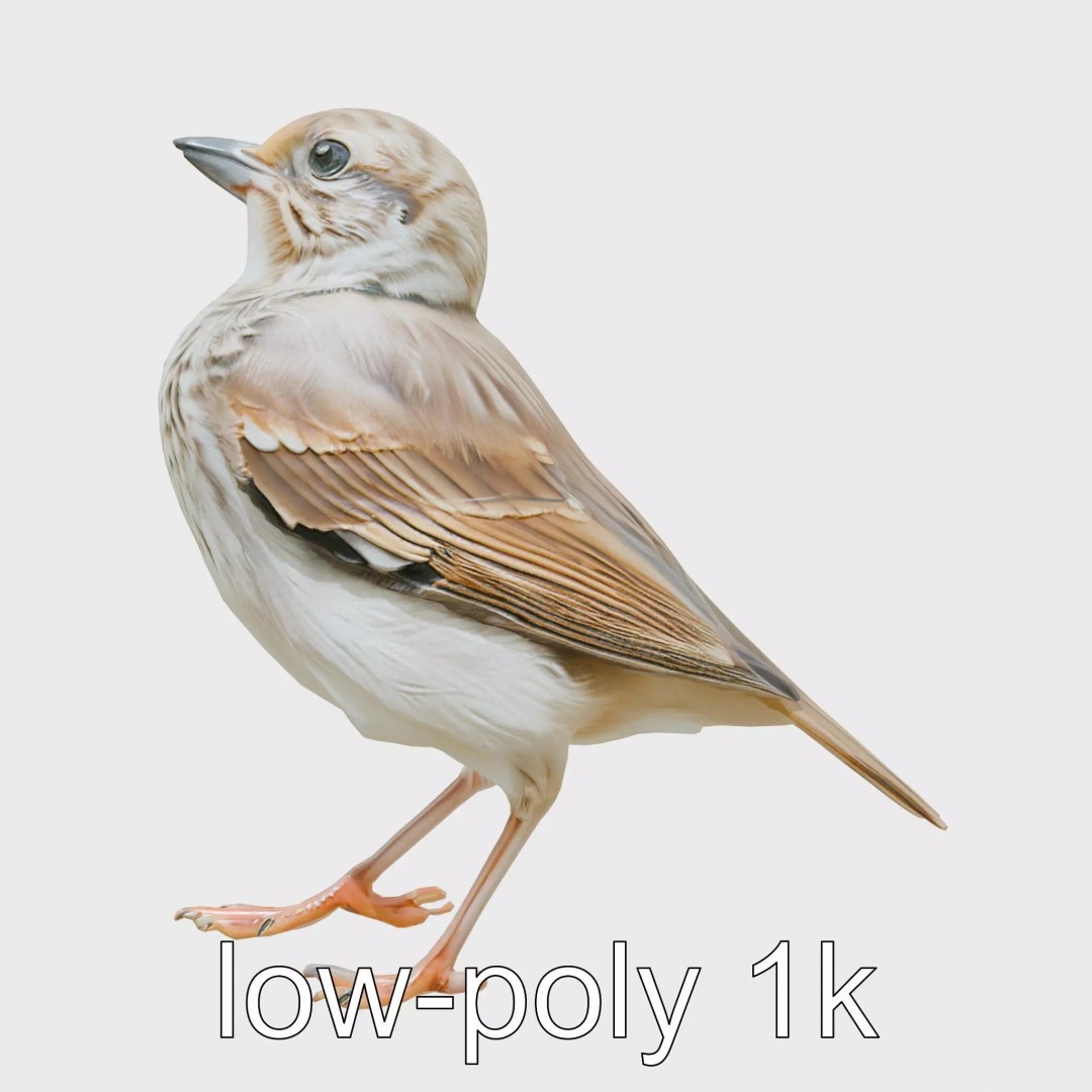 Rock Sparrow 3D Model – Low Poly PBR Bird Asset for Animation - View 2
