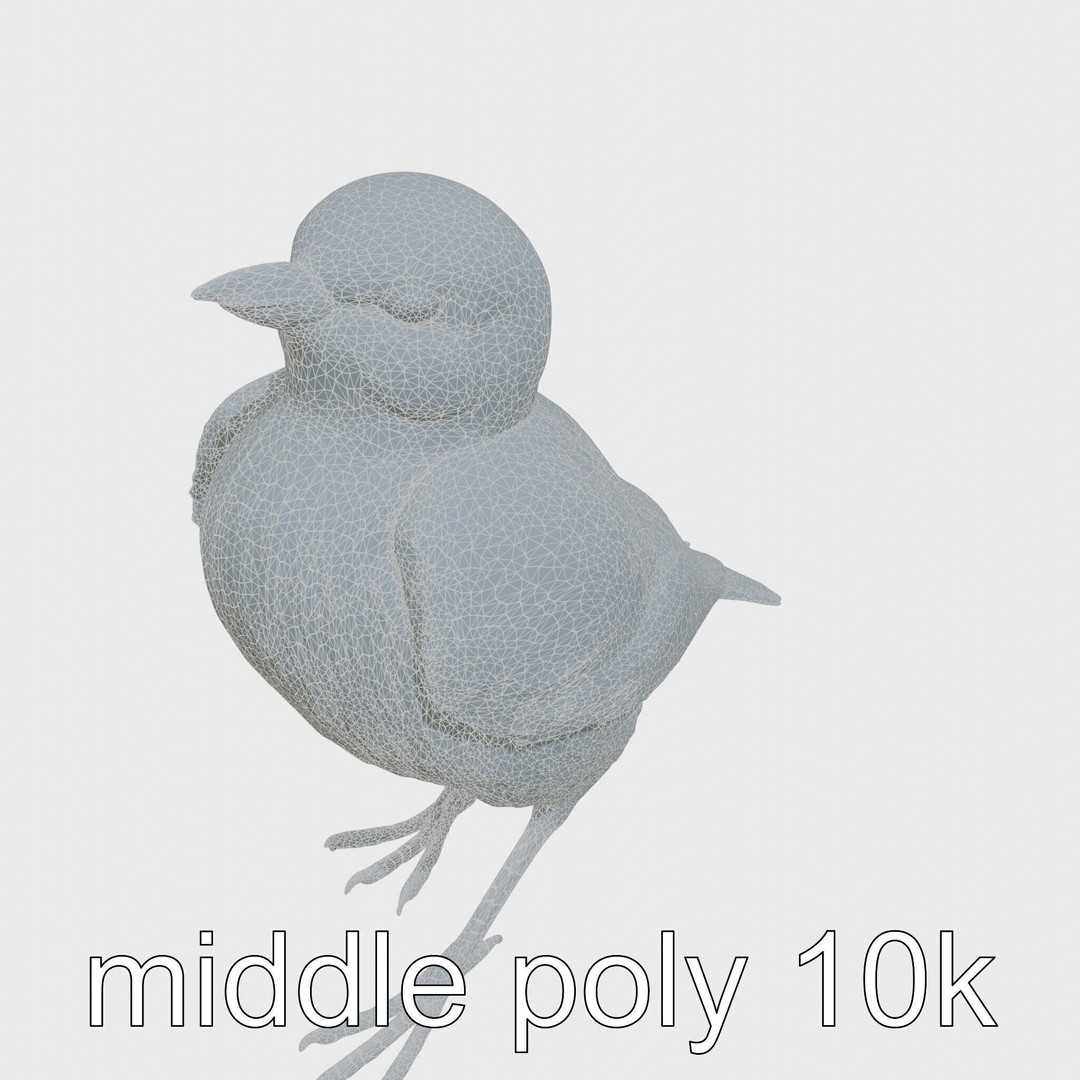 Rock Sparrow 3D Model – Low Poly PBR Bird Asset for Animation - View 20