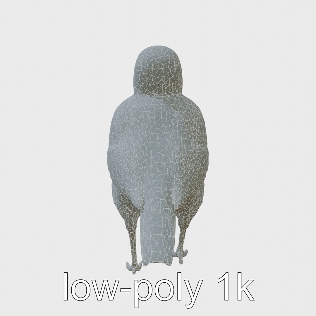 Rock Sparrow 3D Model – Low Poly PBR Bird Asset for Animation - View 23