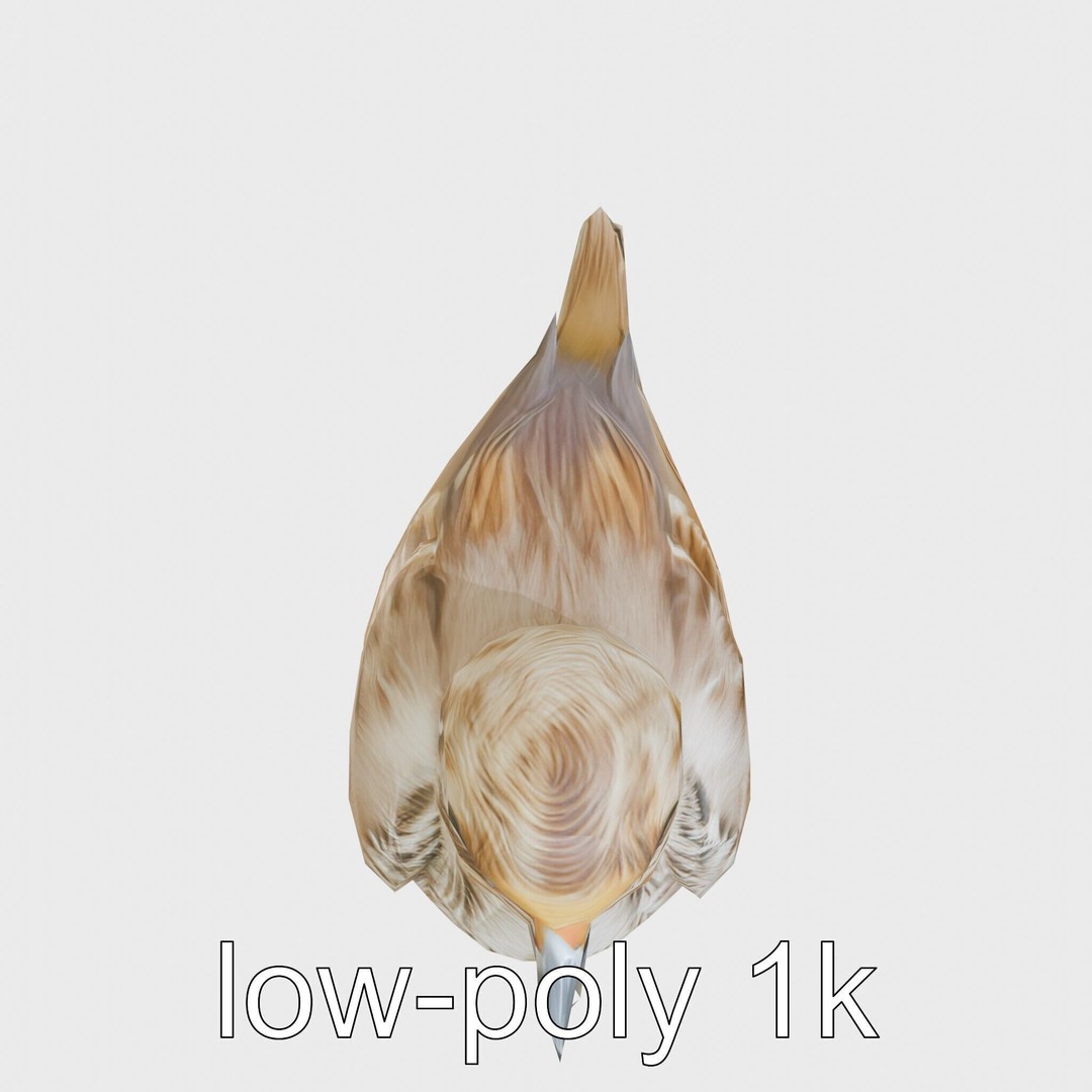 Rock Sparrow 3D Model – Low Poly PBR Bird Asset for Animation - View 26