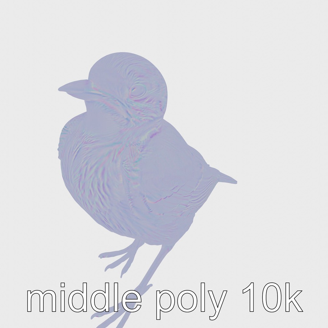 Rock Sparrow 3D Model – Low Poly PBR Bird Asset for Animation - View 27