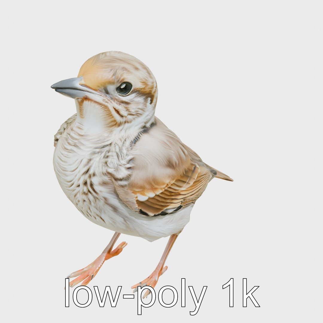 Rock Sparrow 3D Model – Low Poly PBR Bird Asset for Animation - View 28