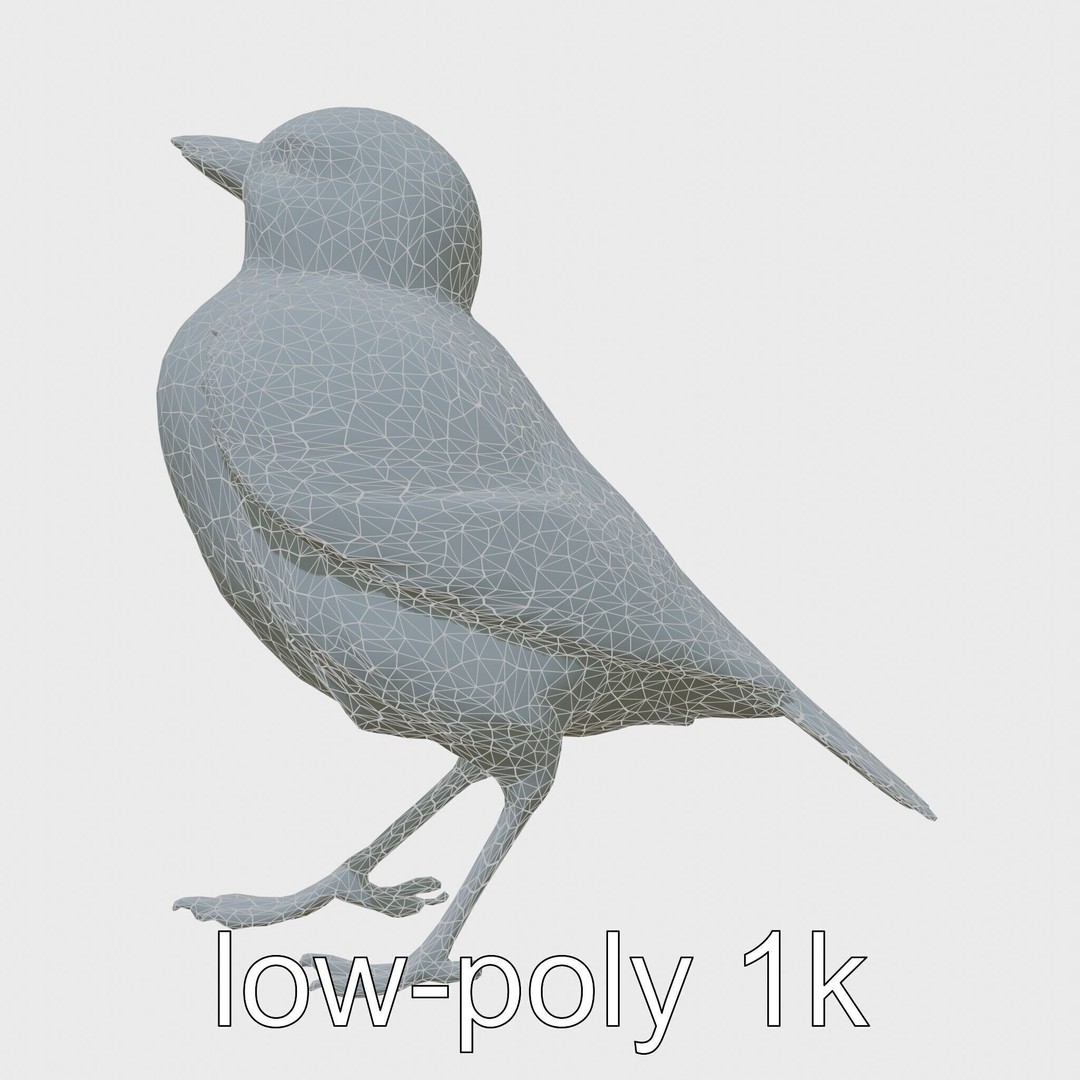 Rock Sparrow 3D Model – Low Poly PBR Bird Asset for Animation - View 8
