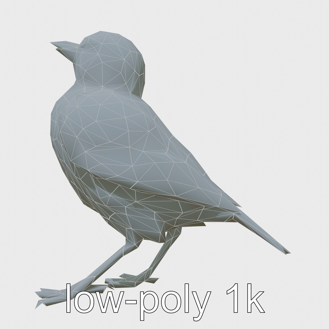 Rock Sparrow 3D Model – Low Poly PBR Bird Asset for Animation - View 9